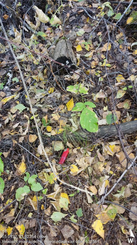  5420241138801041747 121.jpg