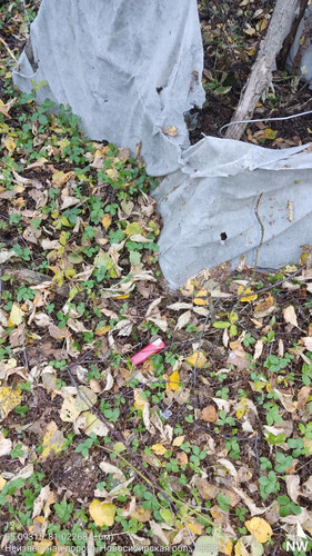  5420241138801041751 121.jpg