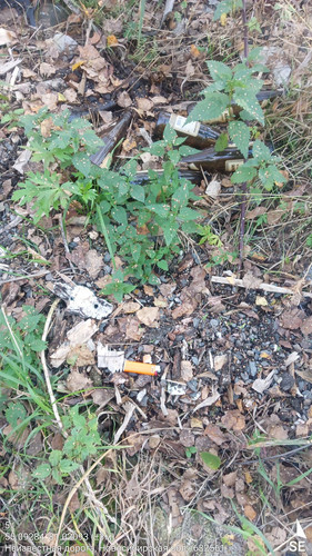 5 138° 109м 55.09284, 81.02093 (±3м) 15092024 184521.jpg