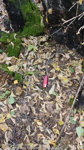  5420241138801041760 121.jpg