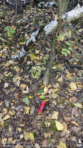  5420241138801041753 121.jpg