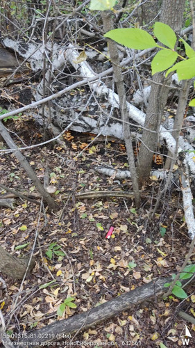  5420241138801041756 121.jpg