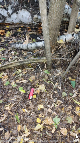  5420241138801041758 121.jpg