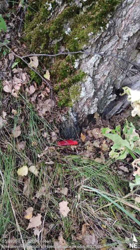  5420241138801041711 121.jpg