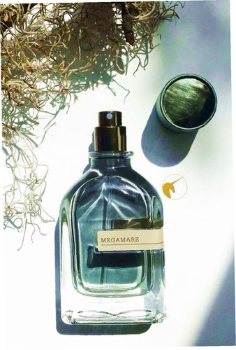 40321359160044440 1 1.jpg