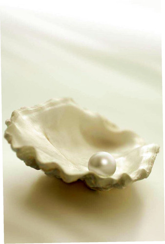 2955556001078465 1.jpg