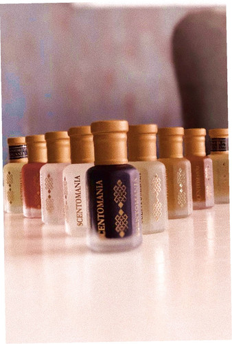 11047961579977157 1.jpg