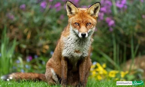 s7XWlF uC9Ex7lGrTh2kelbsikC7lYBP8wW8MJXJD36DqUhNLSMyGOjcM4 G5jR2zDHGN2EPPegWdZPjXjQ86hW4vNUzBWNuVlOT.jpg