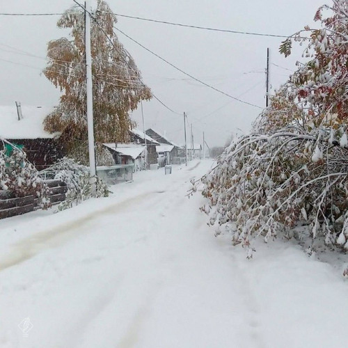 g ckb1pcAJn ovIIh4lvubciQCxnGCg7ehdrHaxvNVI5SQNWysGL3amPrly VCqk EsJDxGLpPSIp8dgJ2kEvmuvgKBIdmXxWrdb.jpg