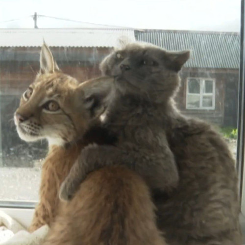 PSiZP TPU1p Yi8Sf kURdgE9xnwTODEPab8FOtCAp3SCBjeBg0I37IXmnVXjlo s1fmerjlPj5zX48ee0hAdsgBG NAZXFmo2sG.jpg