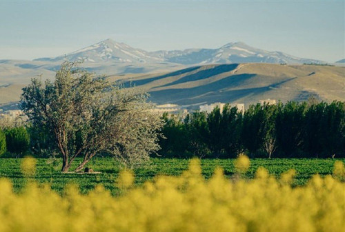 pxpoITqR2GHVRZLA4En1l81dFshyXGDPIMTICOGisxoosrNrdLTEhMTHjbt1nHcPpFcZc7t64WzJNyYSi GZL97Epq9jdc2IS2 N.jpg