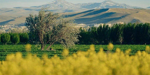 JhVhB FlIyiZqcbF7NadfPlojPov EBfqFAiTRhgyxs56EJwGDoHypz BLg1RC jg5WigPzb1IjOSpd0T0dpK4GFklunhlSclOfA.jpg