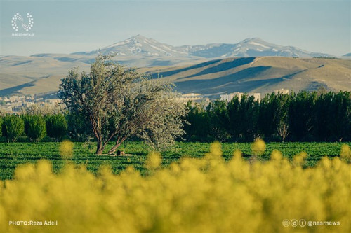 guZbIFmDVCK2ES8lCZZCK8sSNDVLo15DWVp5TMsR2GQpF6E6GmLIKpeCdNrk KauEKRkUDyrPWouEtmx5VJNhI5oNj0K1pvVcnBt.jpg