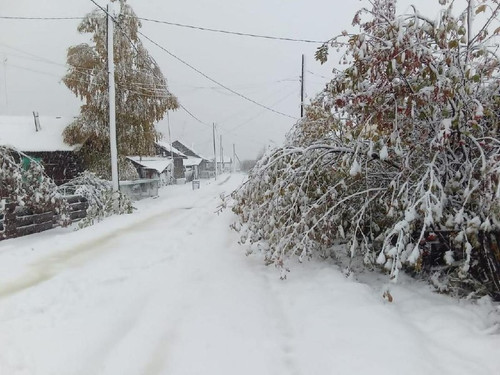 cxTgm366QXtSCgN HWaKT3FLPwK9Rit5li9lpbtF8FmSzyrsqoHvtGB3Zq3tAlPGs1z0iYgDlKTfBEHyGL5hHNHaT93KvDsE8NMO.jpg