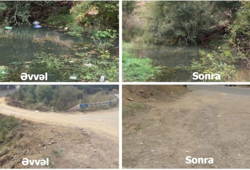 460122983 941013238054956 1196232857155261567 n.jpg?stp=dst jpg p180x540& nc cat=100&ccb=1 7& nc sid.jpg