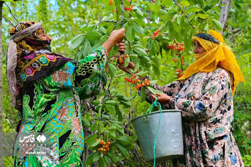 EYVITeWfwdejMamsH2UwEbRzEVSAkFKNKyaW3xDqHPnEa26Cx FOdRGcvZTiDmaTqZ5ZzDO qZ41zWJm8ajgmwPKz3LJsAcrD688.jpg