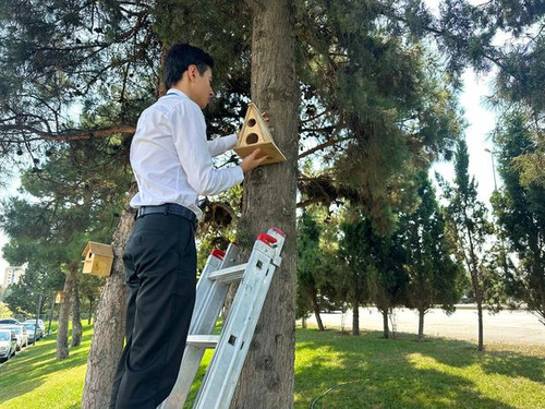 459729271 840710241542653 4587714639244408809 n.jpg?stp=dst jpg s600x600& nc cat=101&ccb=1 7& nc sid.jpg