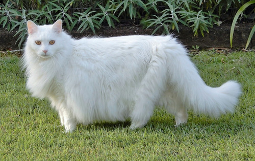 460063762 1228862988310462 6780971785794665733 n.jpg