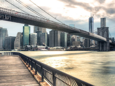 Law Offices of Marina Shepelsky, P.C..jpg