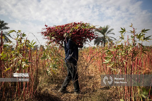 CtdiqPu0pjDDr4Law6x9MlMLPv2n5TIfIxhHvejHM48nDLhgP w3UgpQh3J kGlKFHZ8YWc3l5CIGhAo9O0qQwAGFFUINo58cytP.jpg