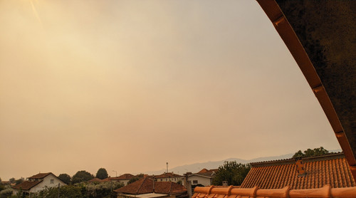 IMG 20240916 144659.jpg