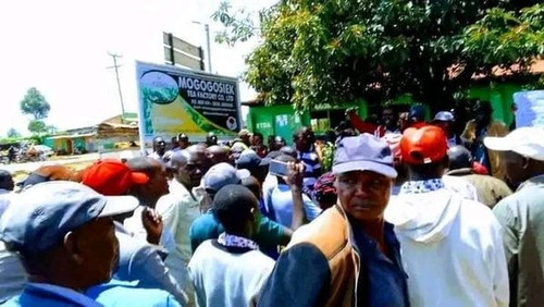 460093213 1136105424548324 1920868441477658619 n.jpg?stp=dst jpg s600x600& nc cat=100&ccb=1 7& nc si.jpg