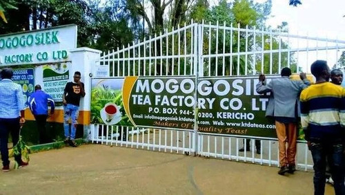 460329429 1136105354548331 4869932910027304736 n.jpg?stp=dst jpg s600x600& nc cat=107&ccb=1 7& nc si.jpg