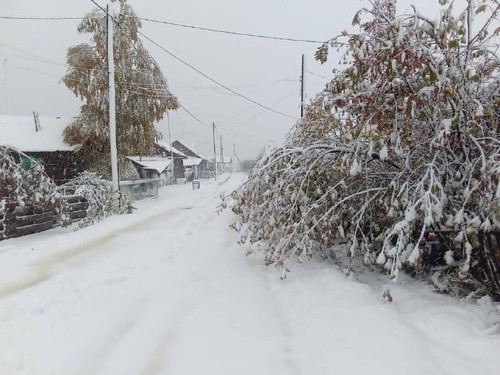 glQnMxLeP7o8IpjpH1Thy79P6Vt3upCNOAWmoiN5PjbMztMvAACyBHcQf5VcYlNjbkTwc Bs kUHYMc69CbW ykGdtcA3LMZVuo2.jpg