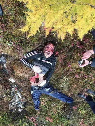 an enormous brown bear went on a killing spree claiming v0 5wxffy60mjk91.jpg