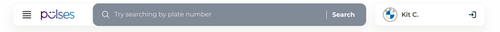 main ribbon.png
