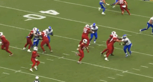 main large (4).gif