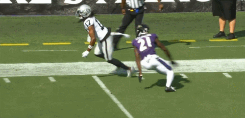 main large (7).gif