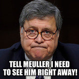 Barr Where Is Meuller