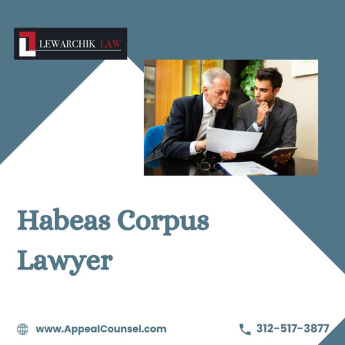 Habeas Corpus Lawyer.jpg