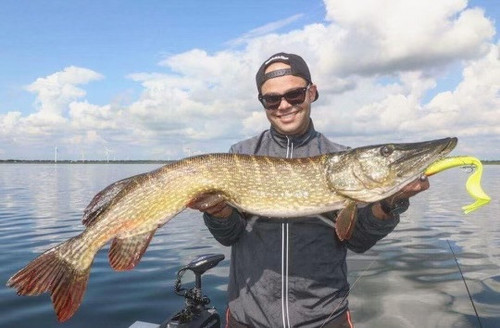 PHOTO 2024 02 27 18 58 15.jpg