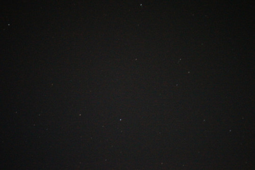 DSC07731.jpg
