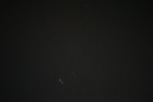 DSC07742.jpg