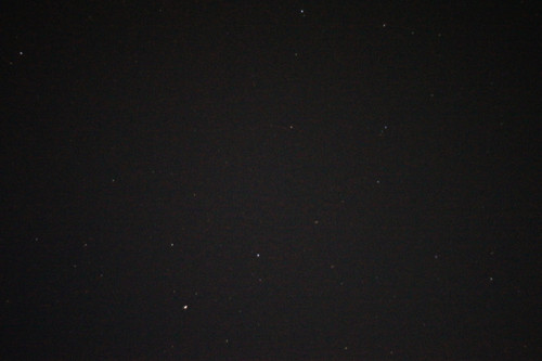 DSC07740.jpg