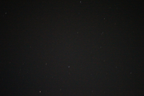 DSC07737.jpg
