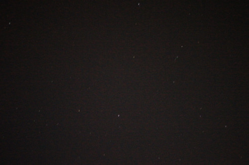 DSC07735.jpg