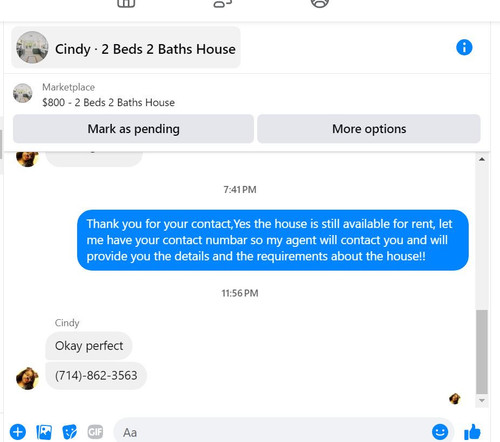 cindy.jpg
