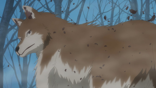 Spice.and.Wolf.MERCHANT.MEETS.THE.WISE.WOLF.S01E24.Path.of.the.Snake.God.and.Answer.of.the.Wise.Wolf