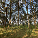 WhatsApp Image 2024 09 16 at 11.32.28