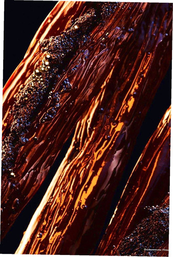 777926535667792374 +1.jpg