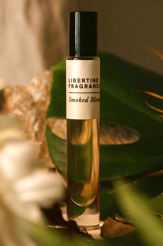 183803228534992792 farbig.png