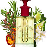 282249101639517621 +1