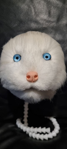 1726426791 1287804535.jpg