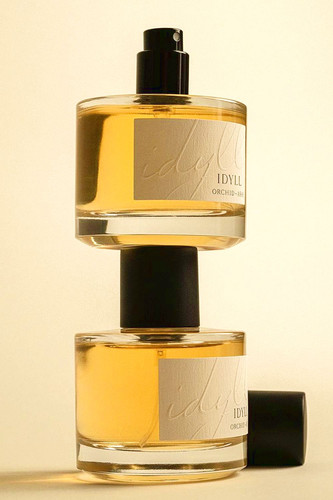 488007309636998699 1 farbig.jpg