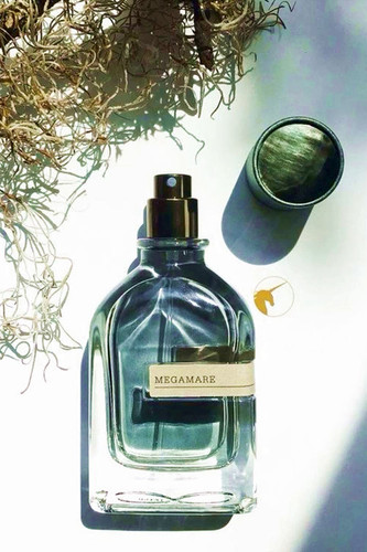 40321359160044440 1 farbig.jpg