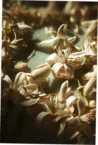 638526053447899625 +1.jpg